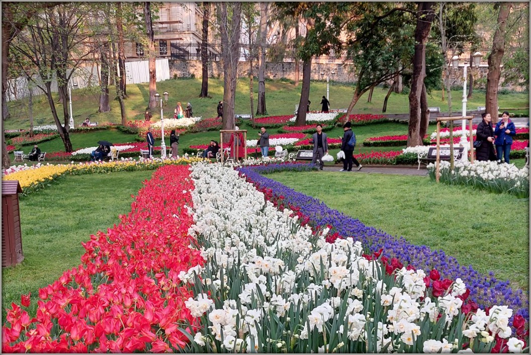 Фотовпечатления. Тюльпановый рай в Стамбуле... апрель 2023 г.