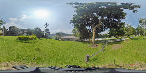 Google Photo