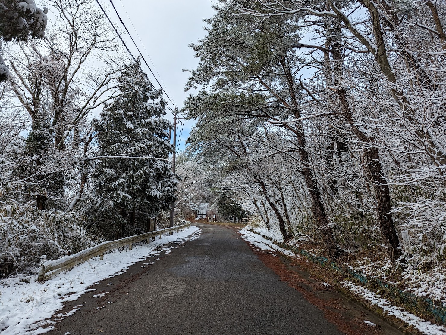 南側の道は、雪が溶けており、車なら進めそうな感じ。