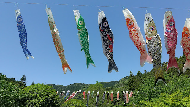 おちばの里親水公園のこいのぼり