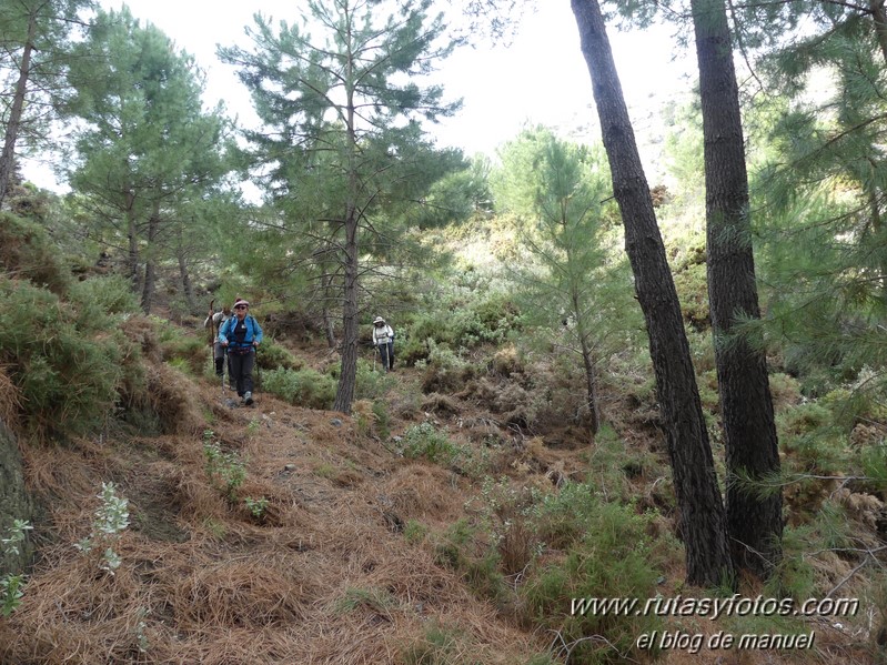 Río Verde - Cuevas del Moro