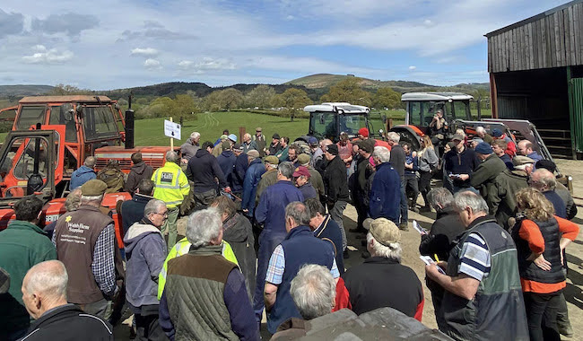 Large crowd for livestock farm dispersal sale