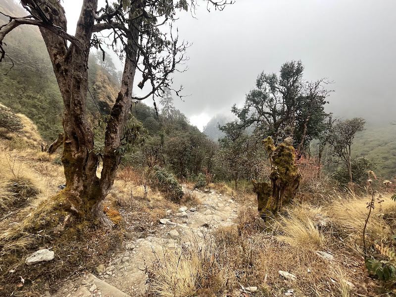 Прикоснуться к Гималаям: Ghandruk, Dobato, Poon Hill, Mohare Danda