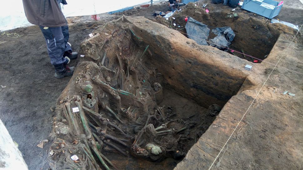 Esqueletos de pessoas mortas na peste negra em uma vala comum semicobertos de terra