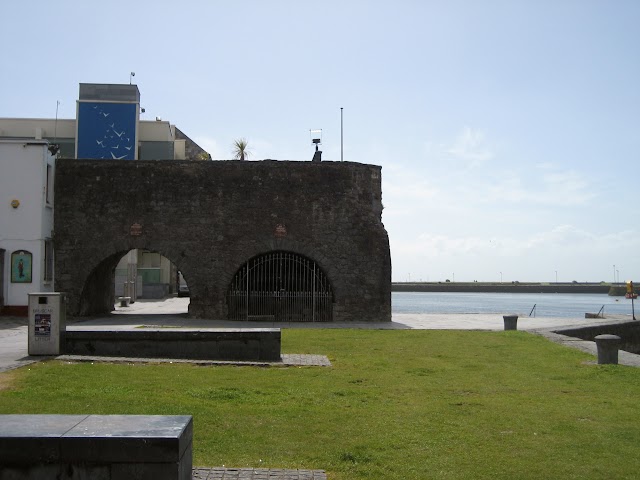 Galway (Gaillimh) - Irlanda: 40 tonos de verde (4)