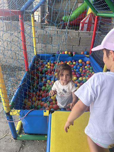 Google Photo