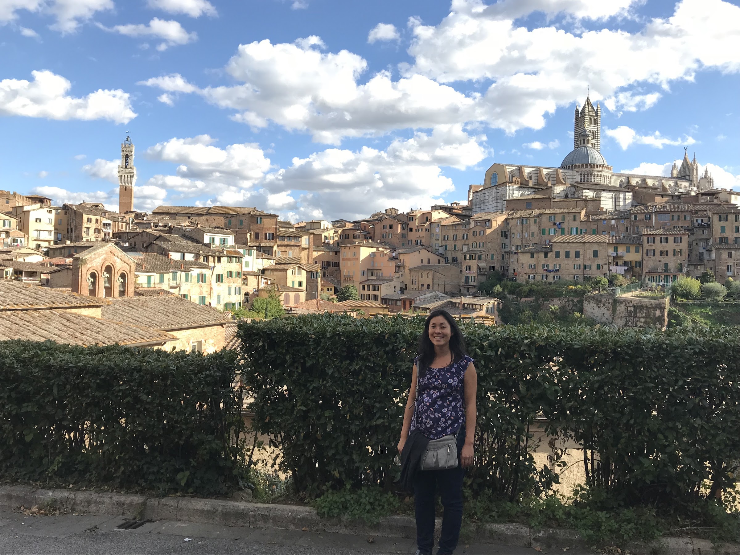 Siena panoramic view