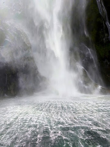 Milford Sound Cruise Stirling Falls close encounter