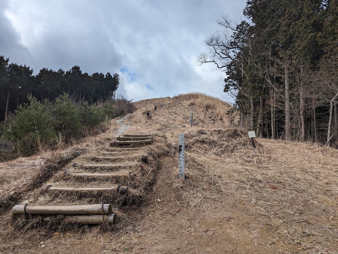 冬の岩湧山に初めてきました。ススキが短く刈り込まれています。おかげで風が抜けて寒い！