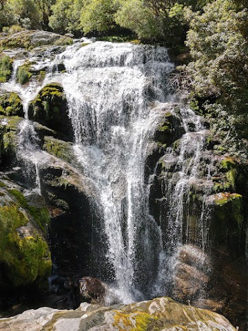 Milford Track Maureen Falls