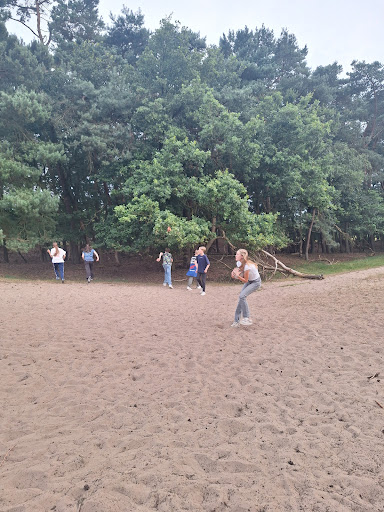Google Photo