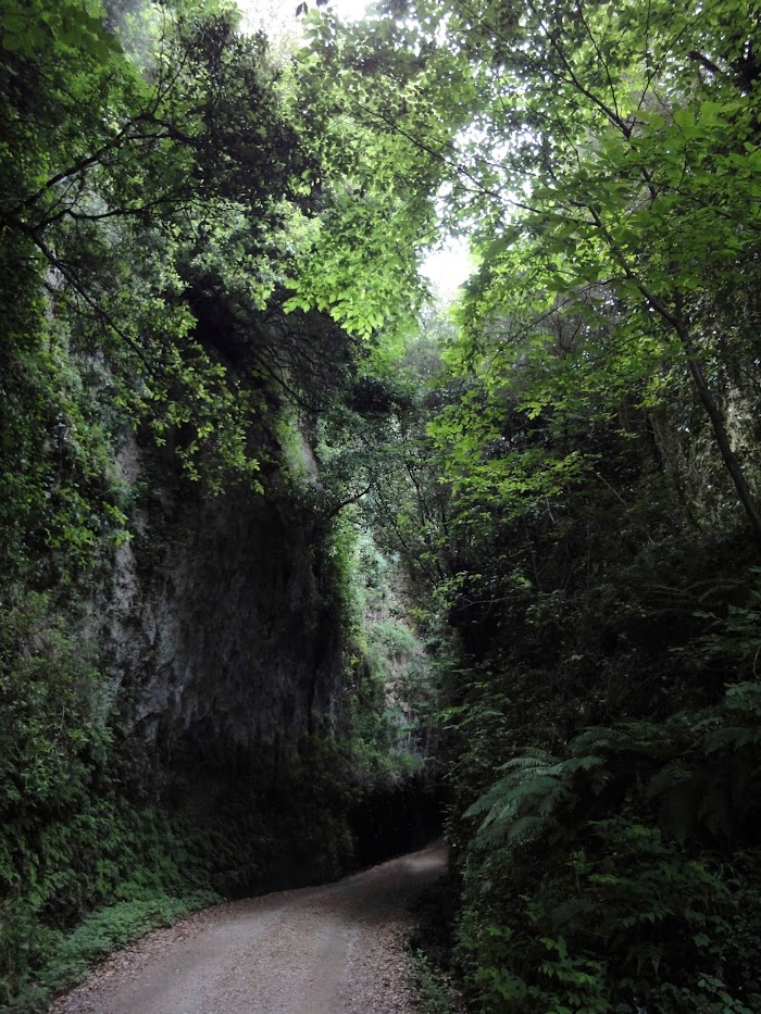 Via Cava del Cavone, Parco Archeologico Città del Tufo, Sovana