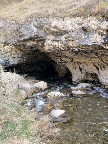 Cave Stream Exit
