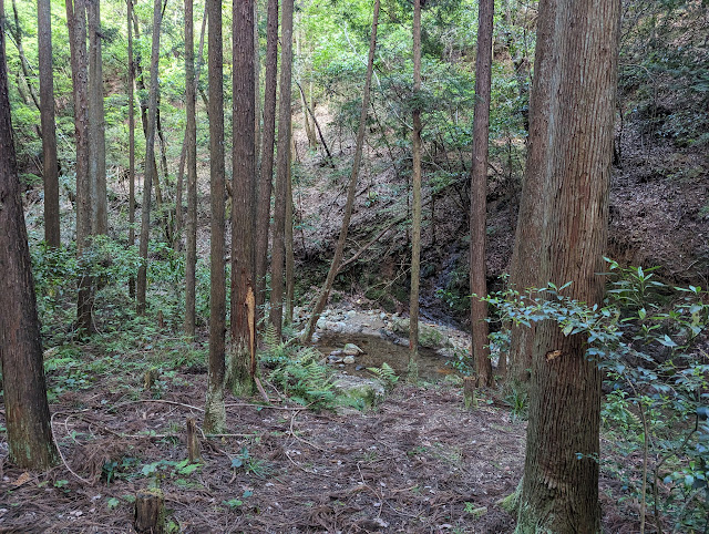 登山口を発見、ここから川を渡って、左手の崖を登っていきます。