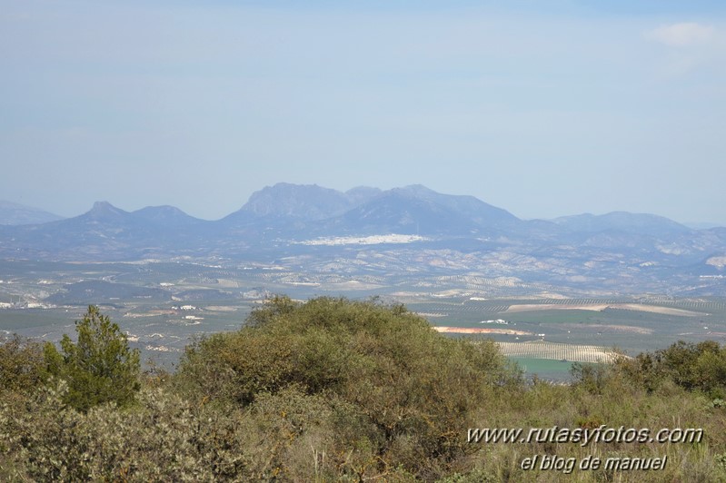 Sierra de Mollina