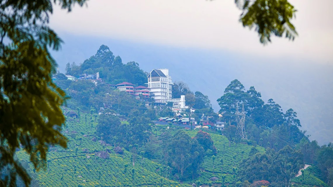 Enjoy a Refreshing Summer Escape in Munnar Amidst Lush Green Tea Gardens and Misty Hills