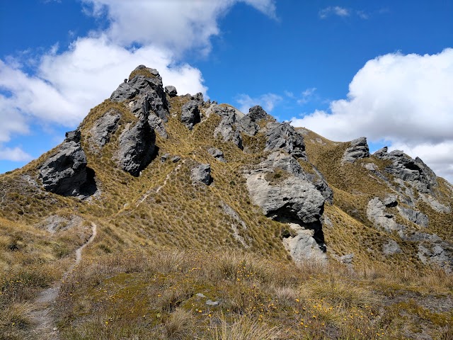 Mount Alpha Skyline Track