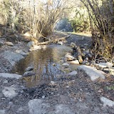 Smoky Mtn. Equestrian to Steinfells Dome
