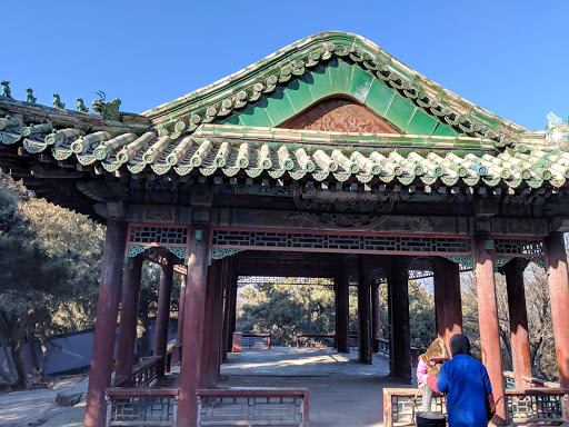 Google Photo