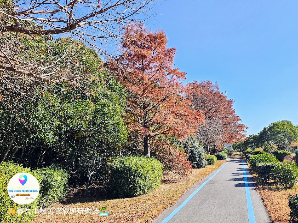 [旅遊]日本 福岡 親子樂悠遊 騎乘自行車 電動滑板車 暢遊