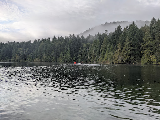 Google Photo