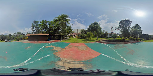 Google Photo
