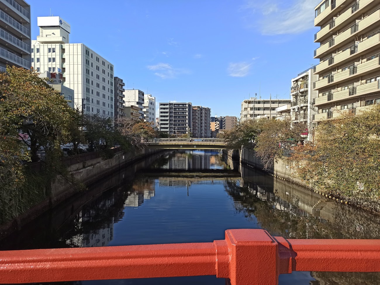 Велопутешествие Токио - Фукуока (октябрь-ноябрь 2023)
