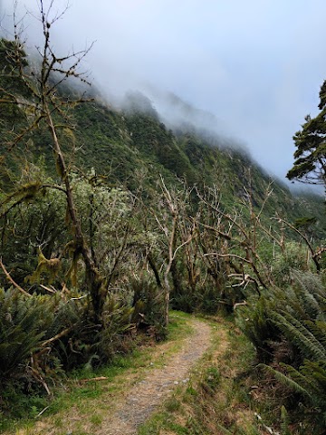 Milford Track