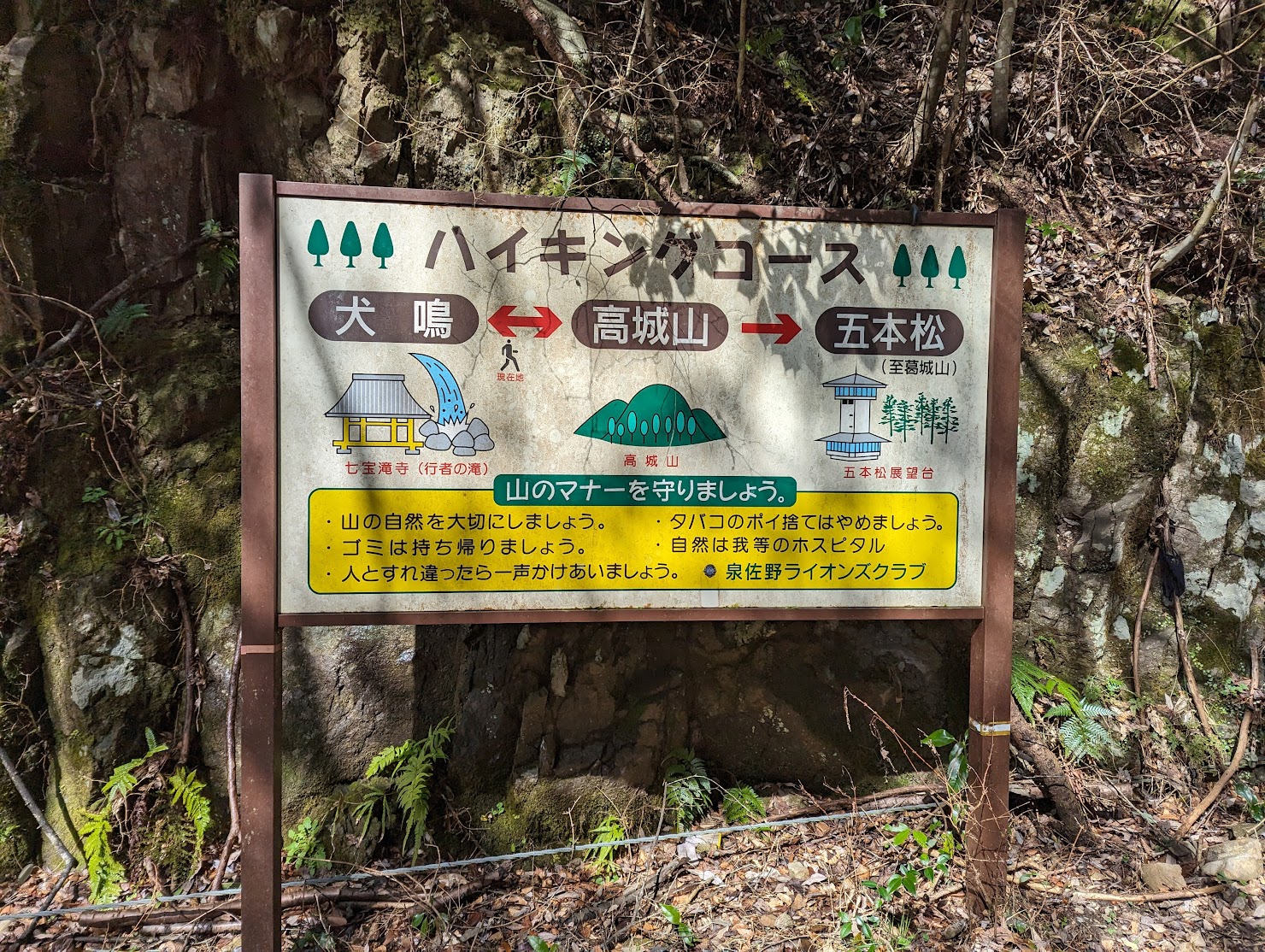 目指せ高城山！