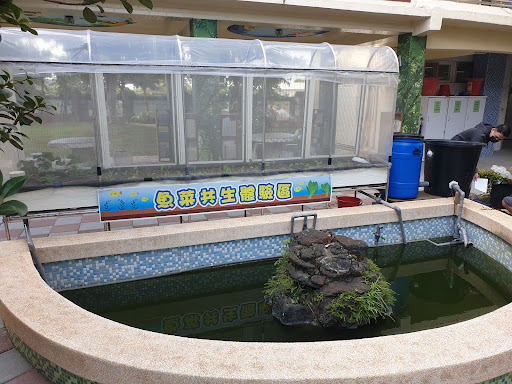 66029