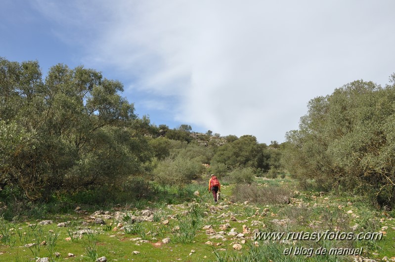 Sierra de Mollina