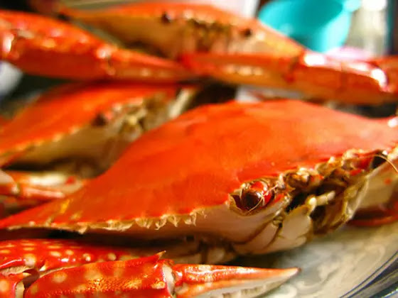 chinese, crab, flower crab, recipe, seafood, steamed