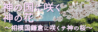 神の国に咲く神の花