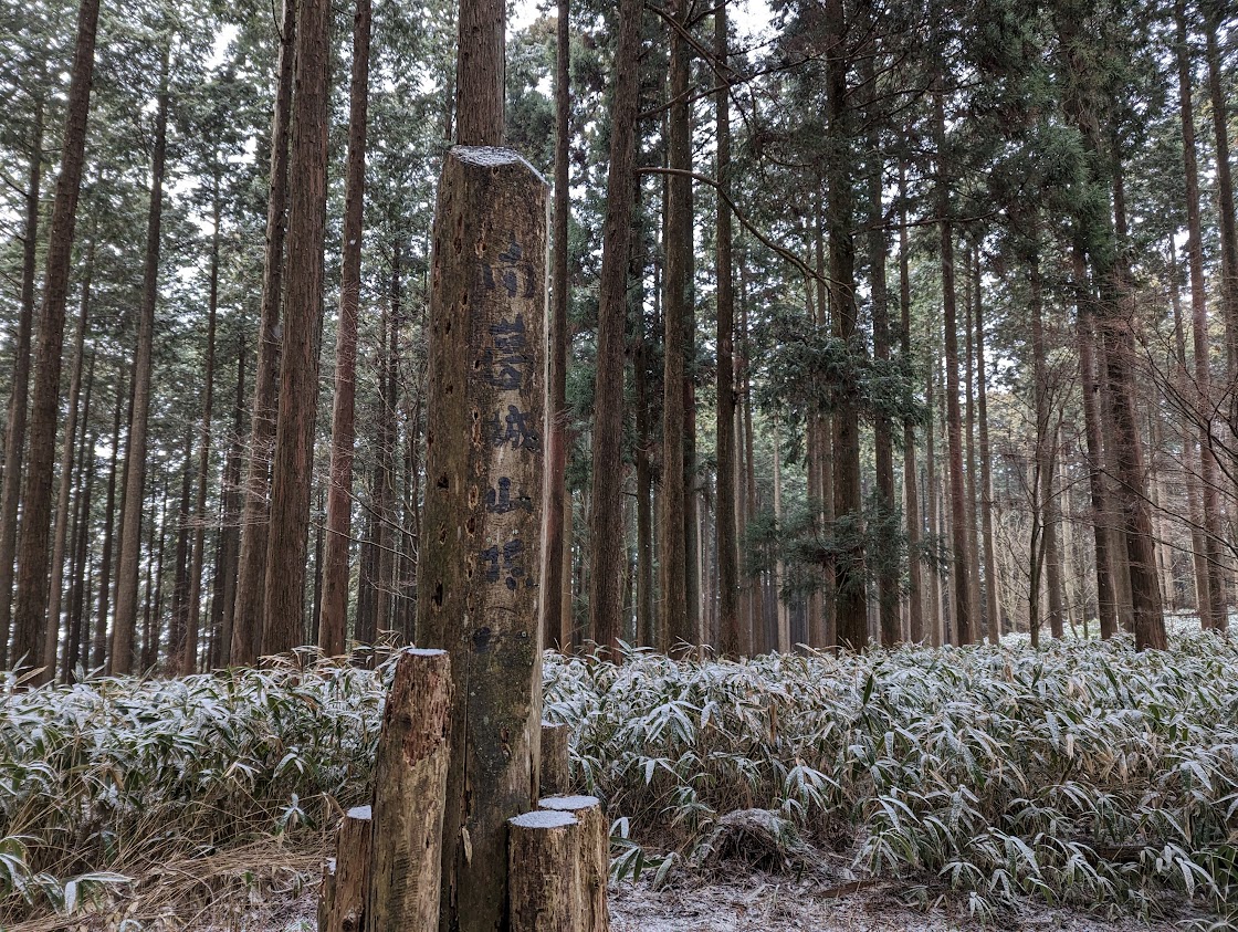 ようやく到着しました。南葛城山