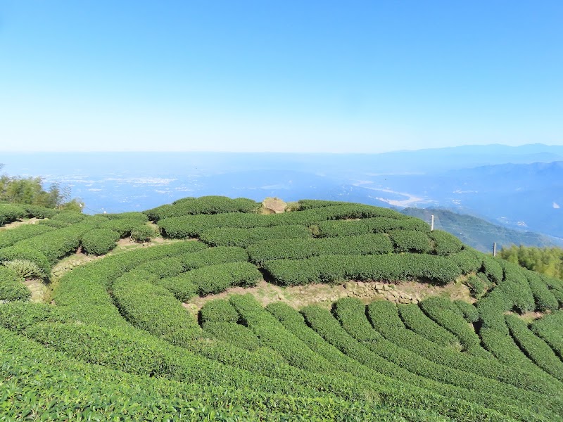 2024_雲嘉～大尖山 走 後棟仔山**