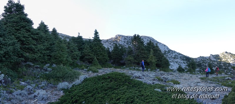 Puerto Corona-Oreganeros-Torrecilla-Atalayas