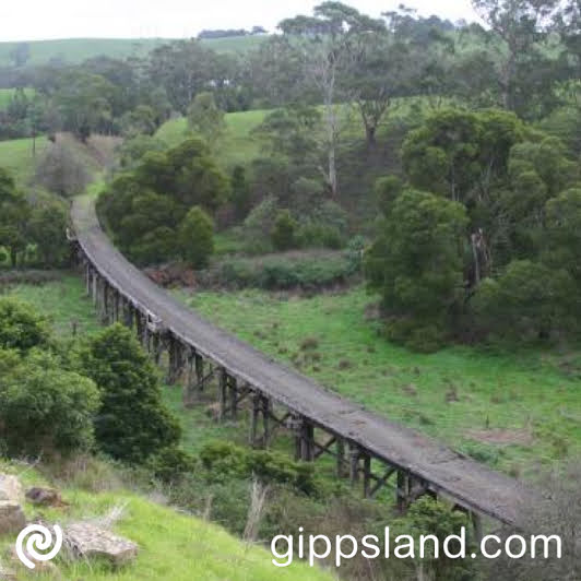 The new Great Southern Rail Trail website lets users explore each town's character, helping cyclists, walkers, riders, and families plan their Great Southern Rail Trail adventure