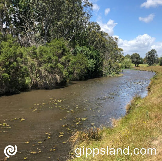 Waterway treatment is an innovative project aimed at preserving waterway access fought an emerging weed threatening Flooding Creek, Lavers Creek, and lower Carran Carran