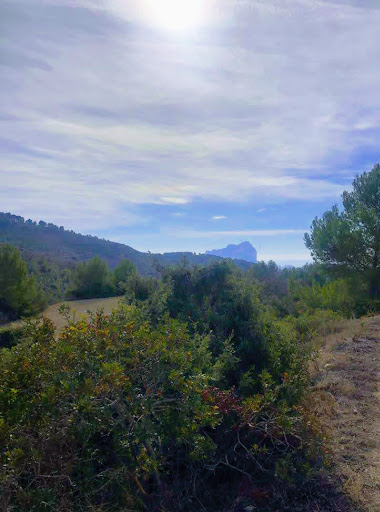Google Photo