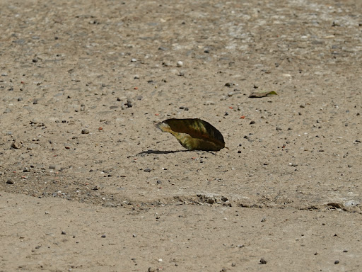 slider image 20