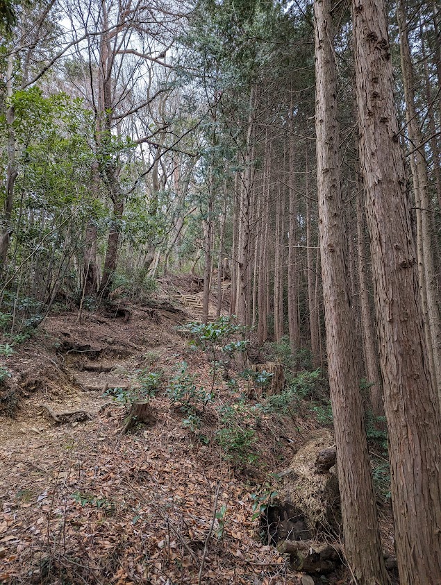 岩湧山山頂まで急登が続きます。