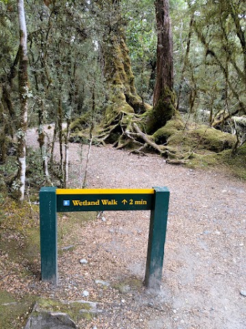 Wetland Walk