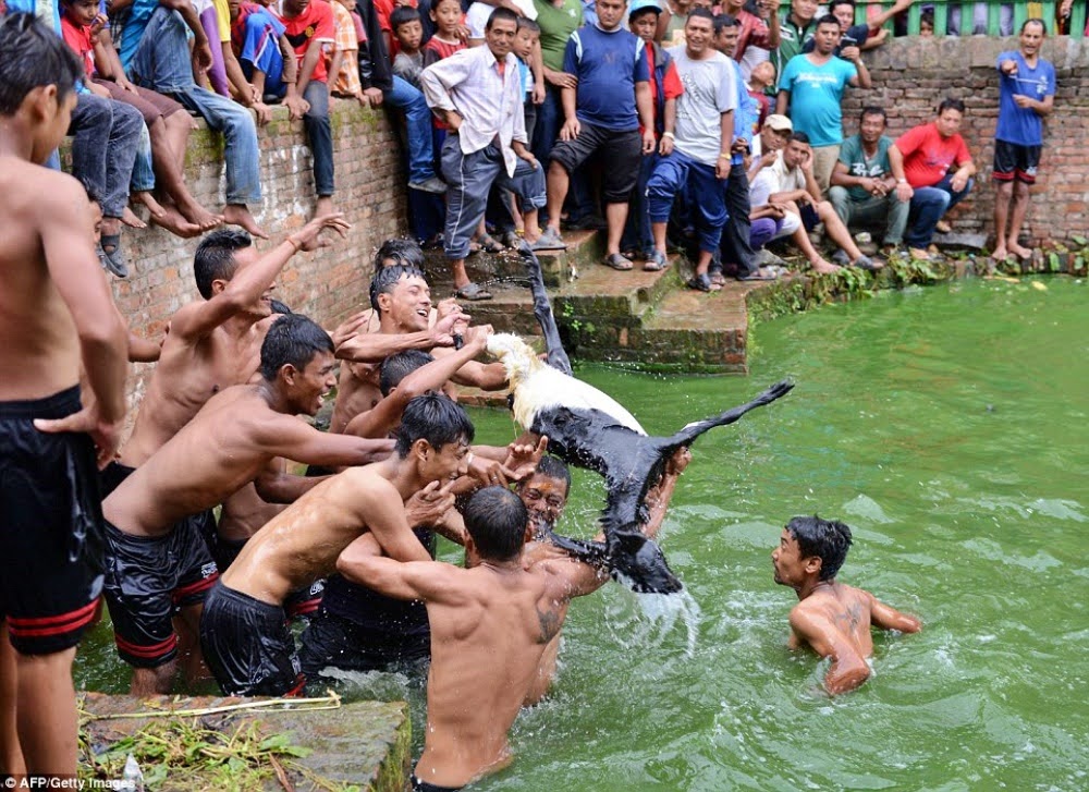 Festival Deopokhari