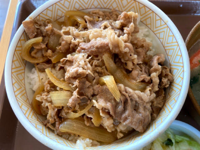 すき家牛丼並盛