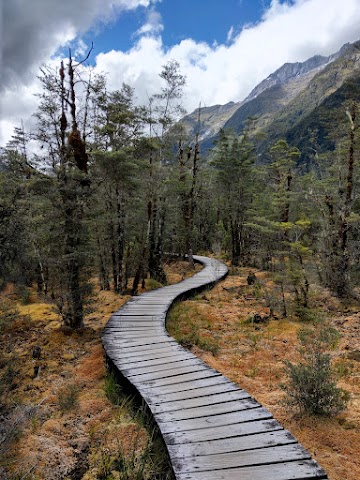 Milford Track Wetland Walk