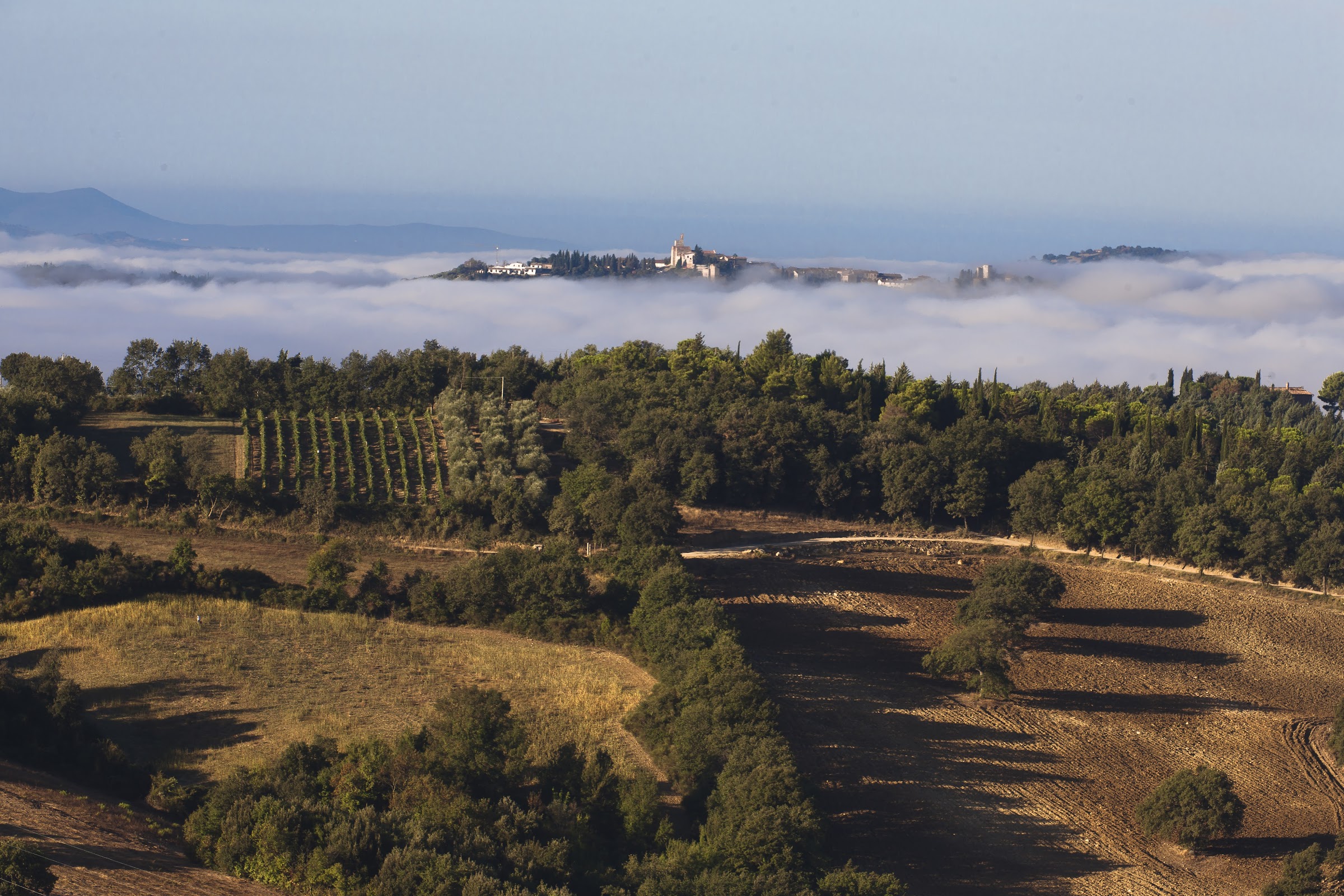 Magliano in Toscan con nebbia di mattina, il sud della Maremma Toscana 