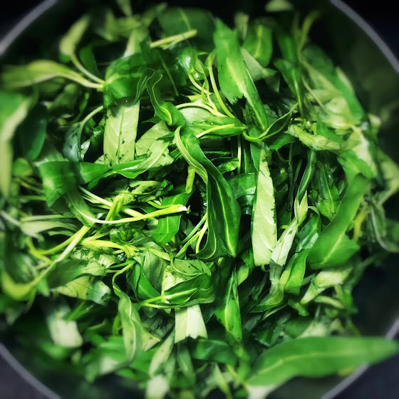 Stir Fried, Tung Choi, water spinach, ong choy, morning glory, Shrimp Paste, chinese, recipe,  蝦醬,炒,通菜