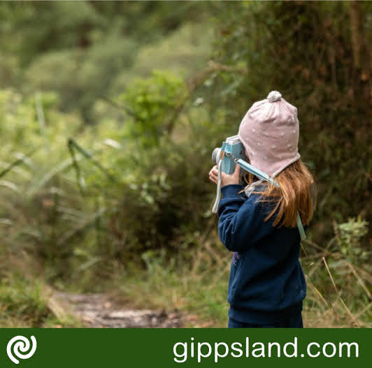 Morwell National Park offers forested gullies, serene picnic spots, and wildlife. Its trails meander beneath towering mountain grey gums. Note: No dogs allowed