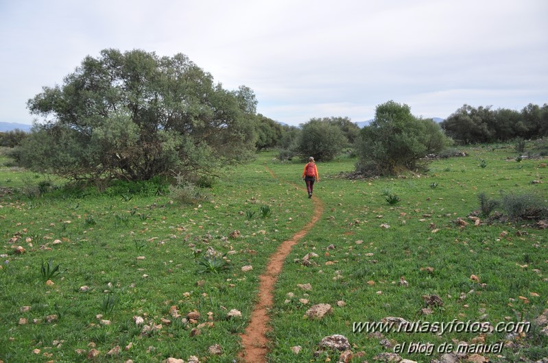 Sierra de Mollina