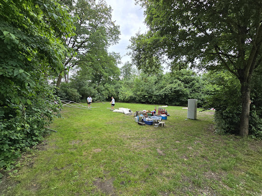 Google Photo